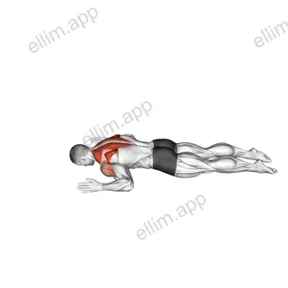 Lying Prone W to Y exercise targeting Back