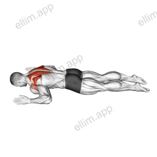 Lying Prone W exercise targeting Back