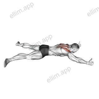 Lying Prone Y Raise exercise targeting Back