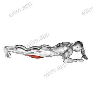 Lying (side) Quadriceps Stretch exercise targeting Thighs and Quadriceps