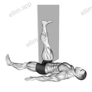 Lying Single Leg Hamstring Stretch against Wall exercise targeting Stretching