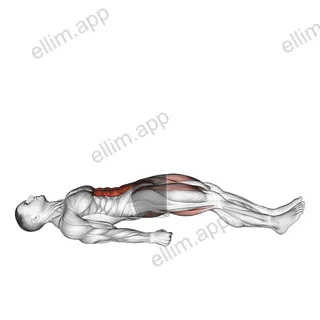 Lying Straight Leg Marches exercise targeting Gluteus Maximus and Iliopsoas
