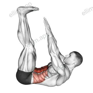 Lying Toe Touch exercise targeting Waist and Rectus Abdominis