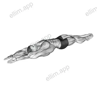 Lying whole body stretch exercise targeting Back