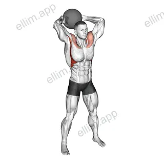 Medicine Ball Around Head Rotation exercise targeting Shoulders