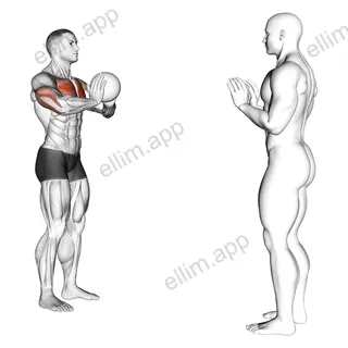 Medicine Ball Chest Pass exercise targeting Chest and Pectoralis Major Sternal Head