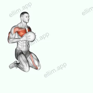 Medicine Ball Chest Push Multiple Response exercise targeting Chest and Pectoralis Major Sternal Head
