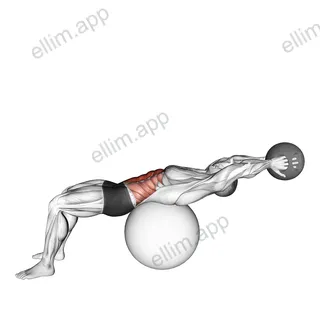 Medicine Ball Crunch on Stability Ball exercise targeting Waist and Rectus Abdominis