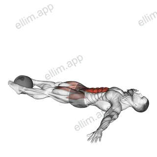 Medicine Ball Lying Leg Raise exercise targeting Waist and Iliopsoas