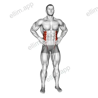 Middle Back Stretch exercise targeting Waist and Obliques
