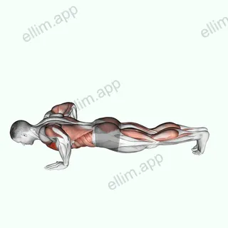 Modified Hindu Push-up exercise targeting Chest and Pectoralis Major Clavicular Head