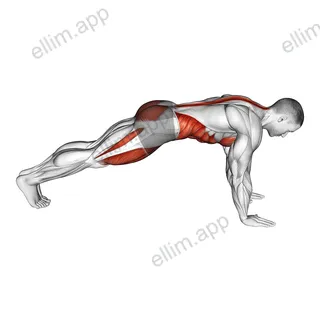 Mountain Climber exercise targeting Cardio