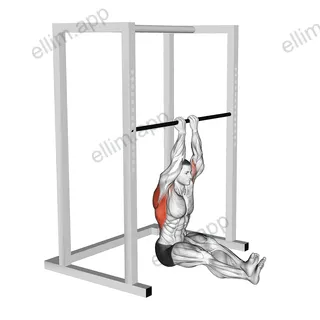 Narrow Seated Chin up exercise targeting Back