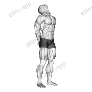 Neck Extension Stretch exercise targeting Neck