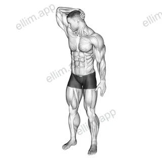 Neck Extensor And Rotational Stretch exercise targeting Neck