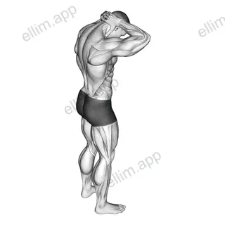 Neck Extensor Stretch exercise targeting Back