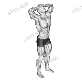 Neck Flexor Stretch exercise targeting Neck