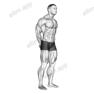 Neck Protraction Stretch exercise targeting Neck