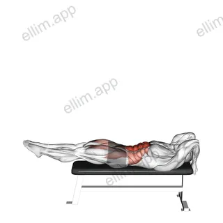 Negative Dragon Flag exercise targeting Waist and Iliopsoas