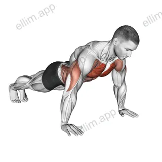 Negative Push-up exercise targeting Chest