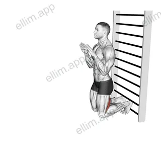Nordic Hamstring Curl exercise targeting Thighs