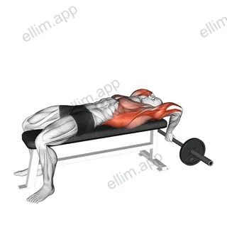 Old School Reverse Extensions exercise targeting Latissimus Dorsi and Triceps Brachii