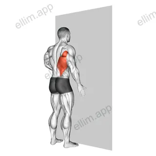 One Arm Against Wall exercise targeting Back and Latissimus Dorsi