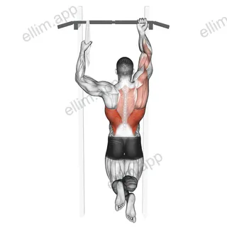 One Arm Chin Up exercise targeting Back