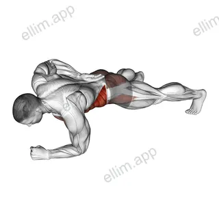 One Arm Front Plank exercise targeting Waist and Obliques