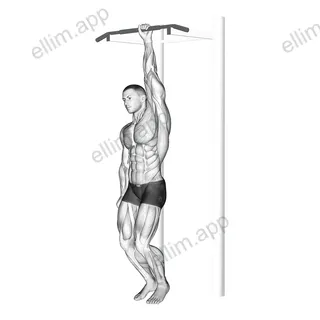 One Handed Hang exercise targeting Back and Latissimus Dorsi