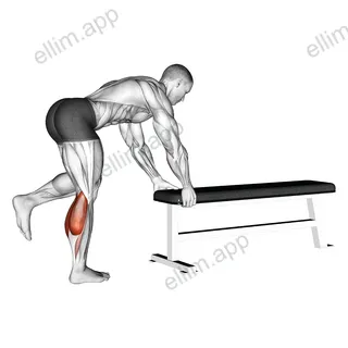 One Leg Donkey Calf Raise exercise targeting Calves and Gastrocnemius