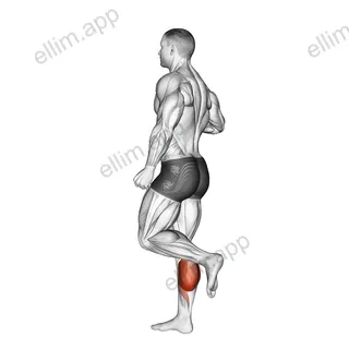 One Leg Floor Calf Raise exercise targeting Calves and Gastrocnemius