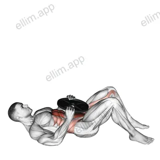 Otis Up exercise targeting Waist and Iliopsoas