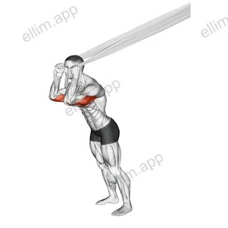 Overhead Triceps Extension with Bed Sheet exercise targeting Upper Arms and Triceps Brachii