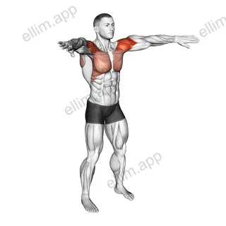 Palm-up Palm-down Rotation exercise targeting Shoulders