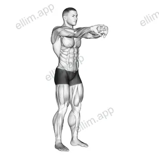 Palms Out Forearm Stretch exercise targeting Forearms
