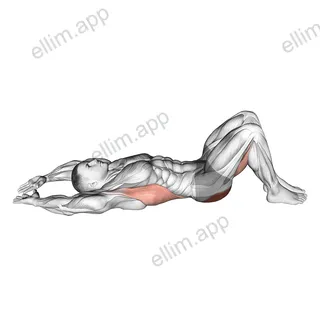 Pelvic Tilt Into Bridge exercise targeting Hips and Gluteus Maximus