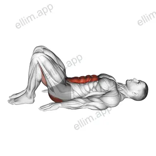 Pelvic Tilt exercise targeting Waist and Gluteus Maximus