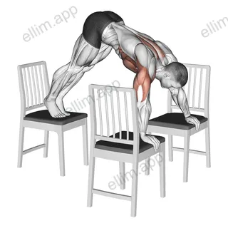 Pike Push up (between Chairs) exercise targeting Shoulders