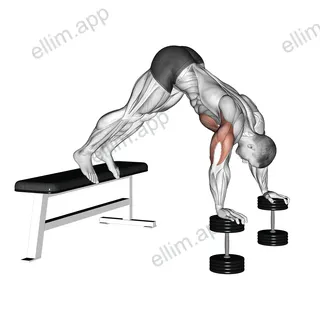 Pike Push-up (on Bench) exercise targeting Chest