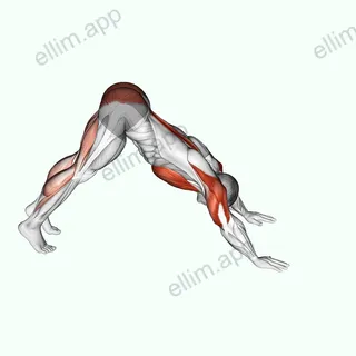 Pike to Cobra Push-up exercise targeting Chest and Hips