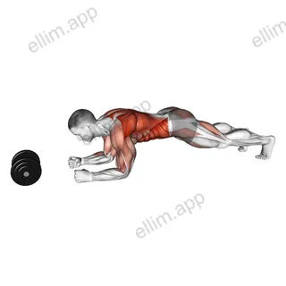 Plank Alternate Anti Gravity Pull up exercise targeting Waist
