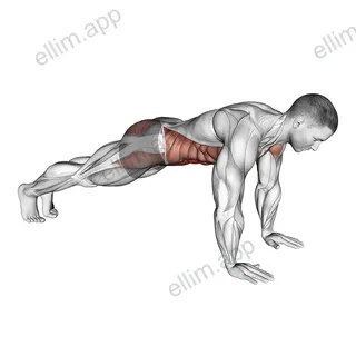 Plank on Hands exercise targeting Waist and Rectus Abdominis