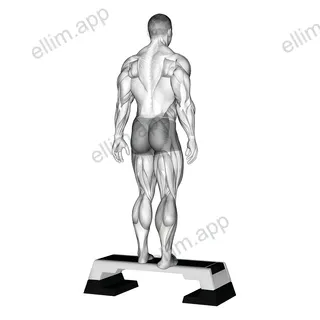 Plantar Flexor And Foot Everter Stretch exercise targeting Calves