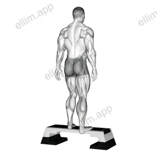 Plantar Flexor And Foot Inverter Stretch exercise targeting Calves