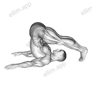 Plow Yoga Pose exercise targeting Waist and Obliques