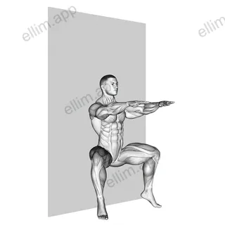 Plyo Sit Squat (wall) exercise targeting Thighs and Gastrocnemius