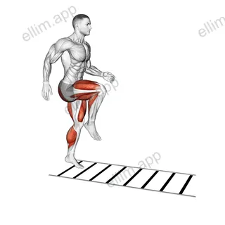 Plyometric Agility Drill exercise targeting Plyometrics
