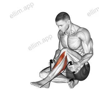 Posterior Tibialis Stretch exercise targeting Calves and Gastrocnemius