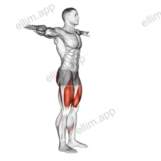 Potty Squat exercise targeting Waist and Rectus Abdominis